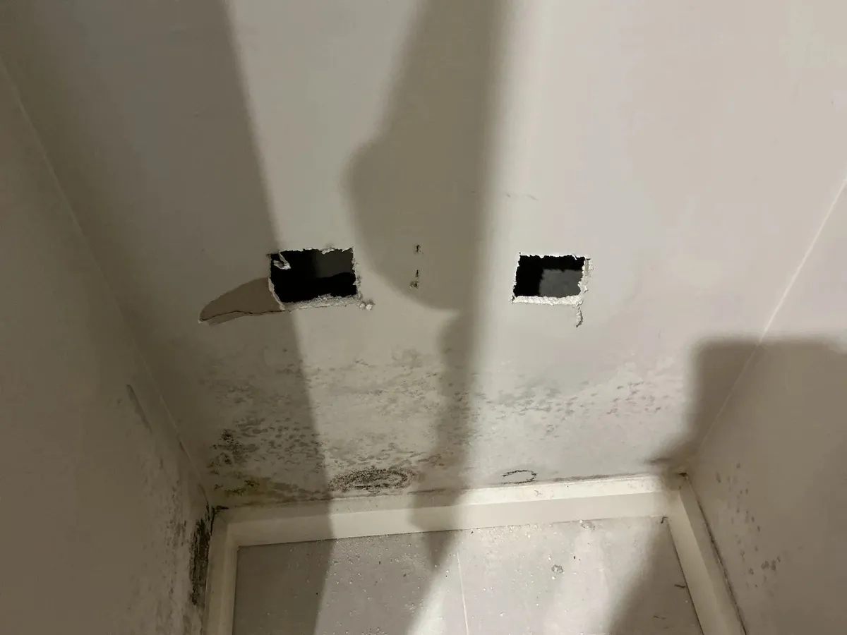 Wall cut open beside the shower to check the cavity
