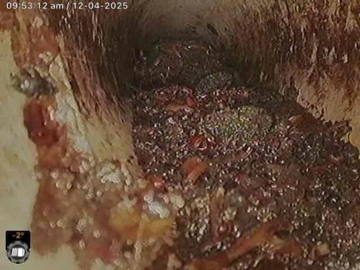 Camera view of a blocked stormwater line in Ballarat East