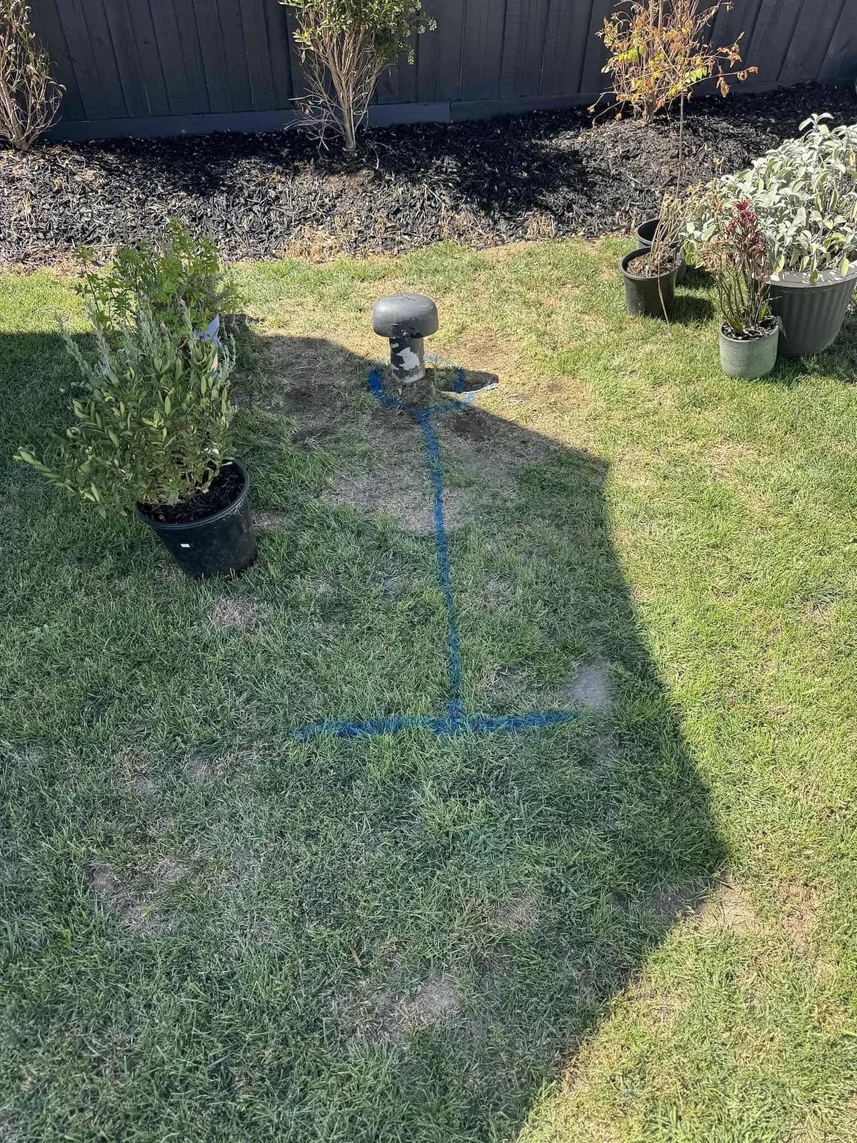 Lawn marked out along the drain line