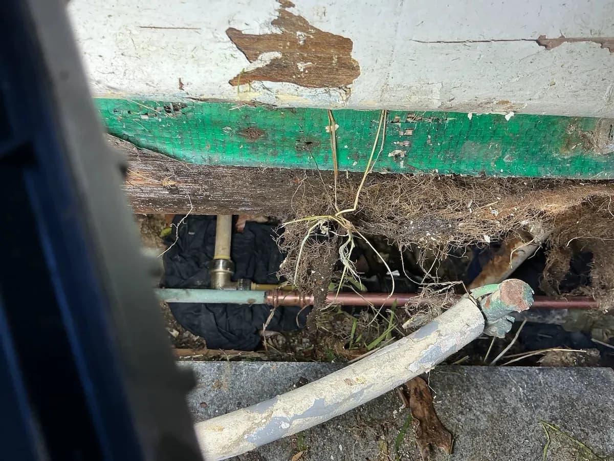 Leaking water pipe under a weatherboard house
