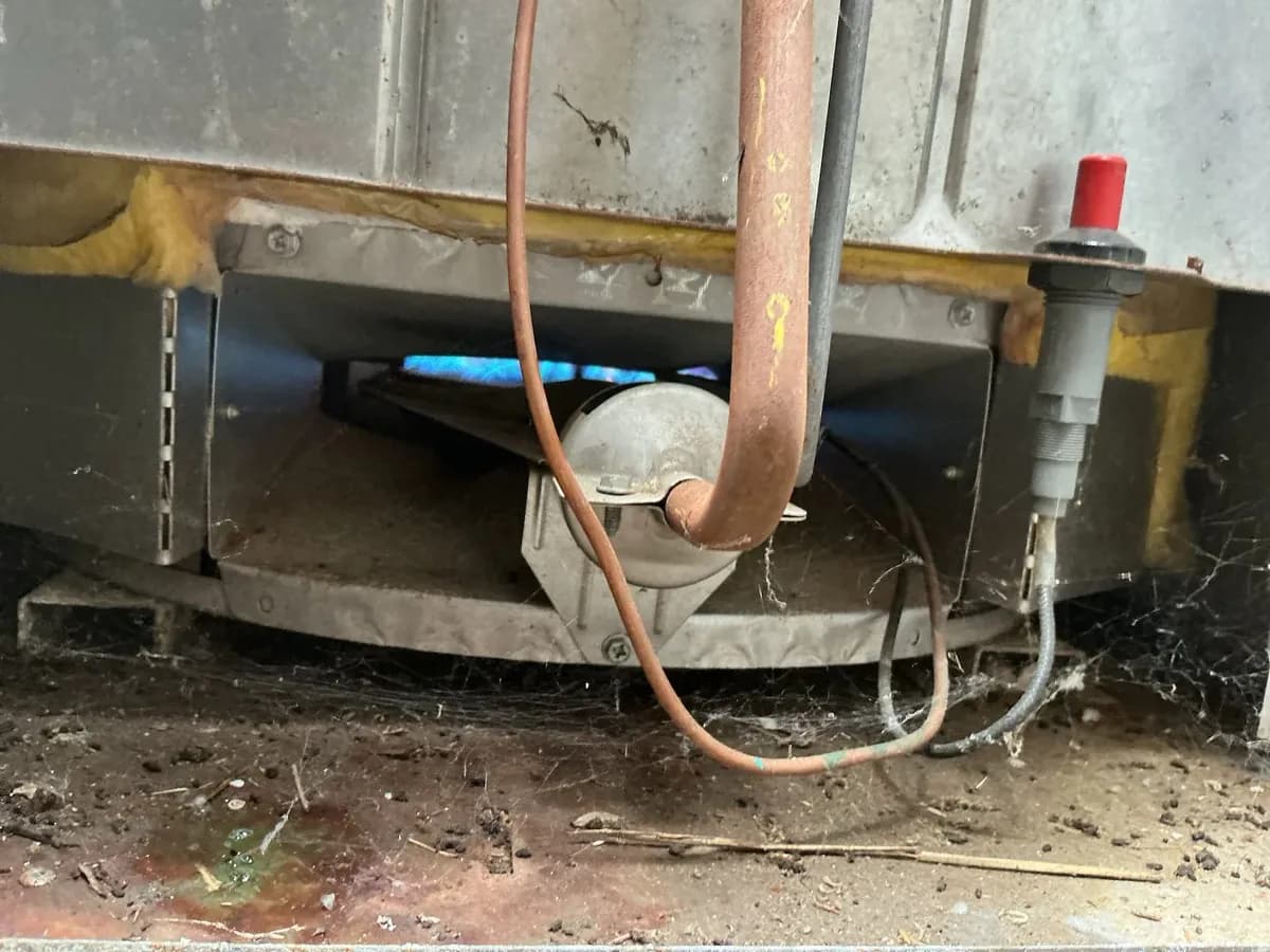 Hot water unit burner and pilot checked
