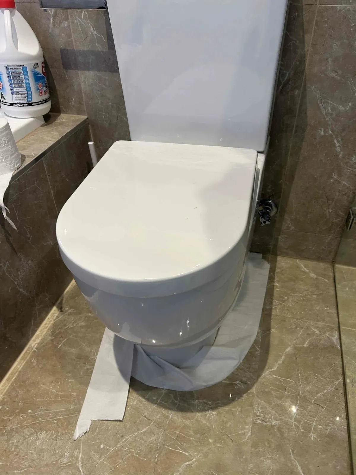 Toilet refitted with a new seal