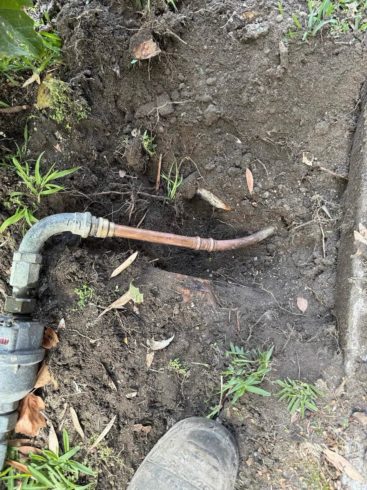 Water pipe exposed between the meter and the house