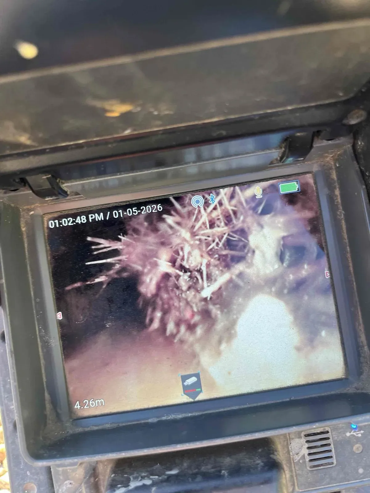 Drain camera view of tree roots blocking the sewer