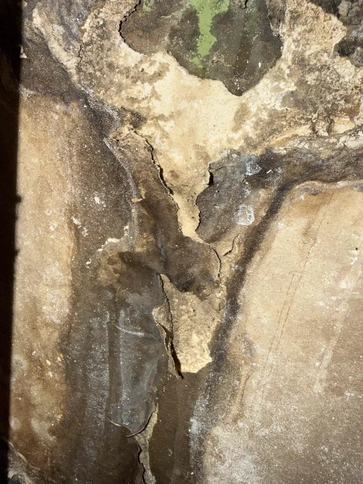 Mould and damp inside the wall behind the shower