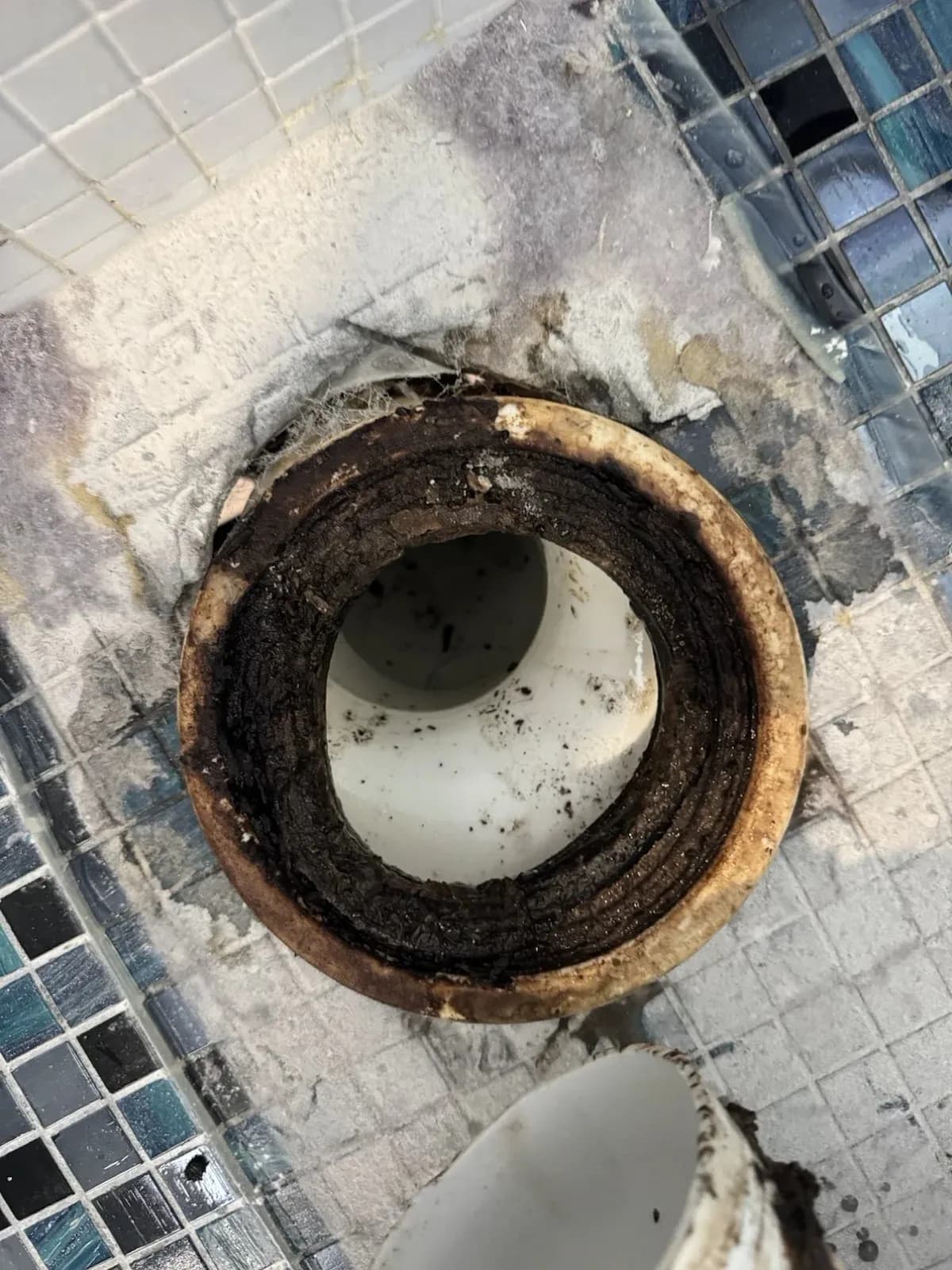 Toilet pan collar exposed with the toilet removed