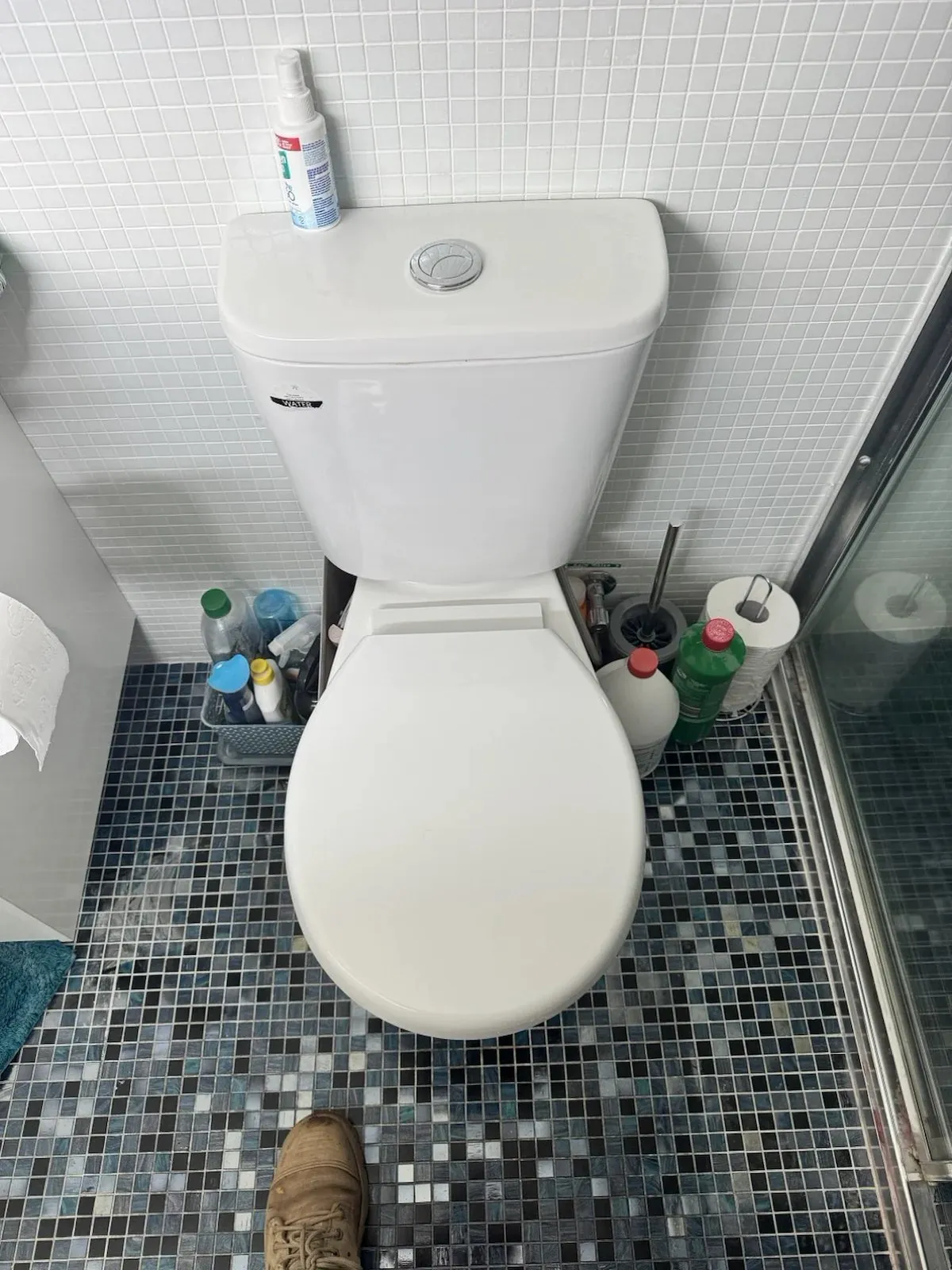 Toilet refitted on the mosaic tile floor