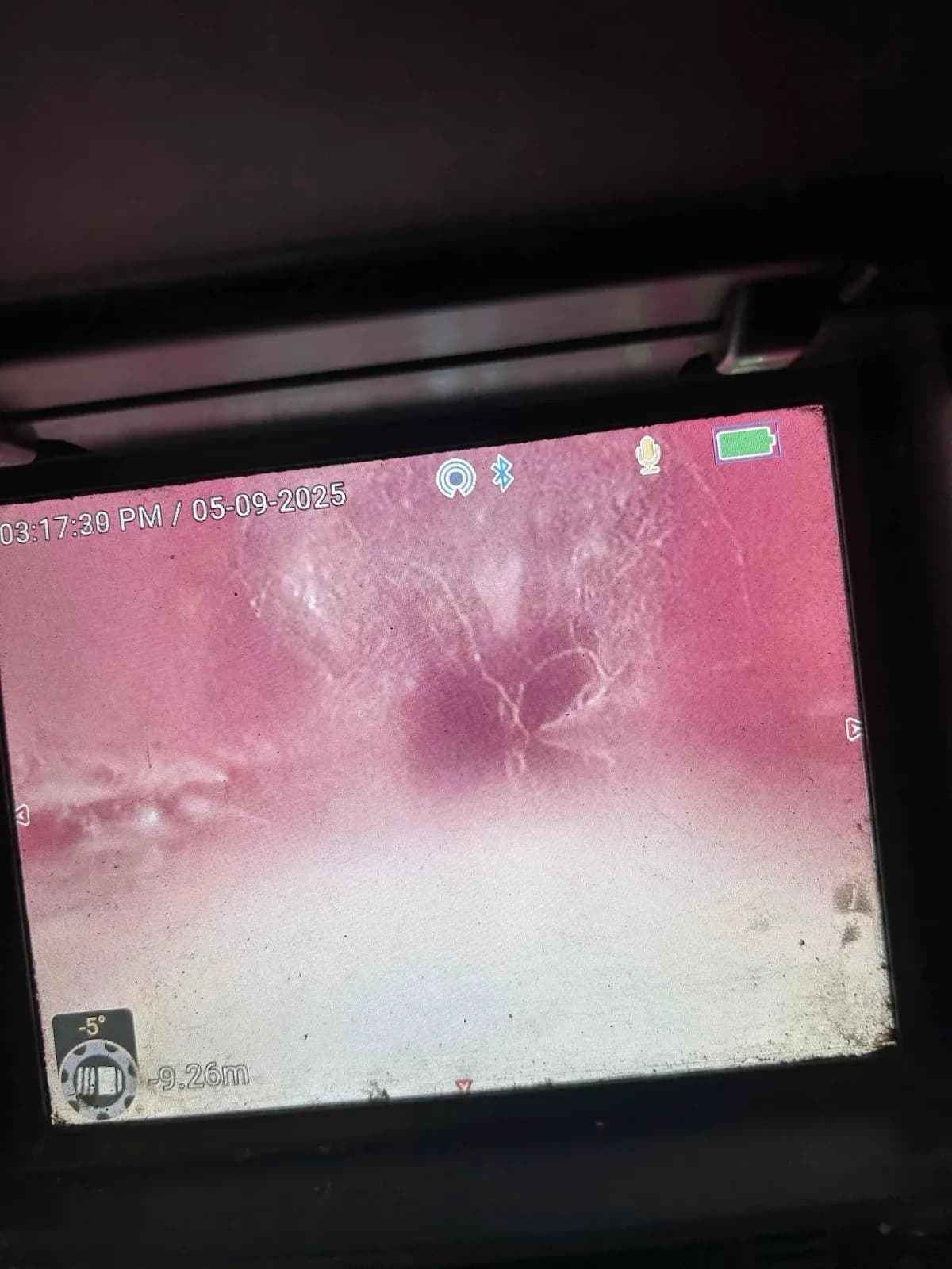 Drain camera showing tree roots inside the pipe