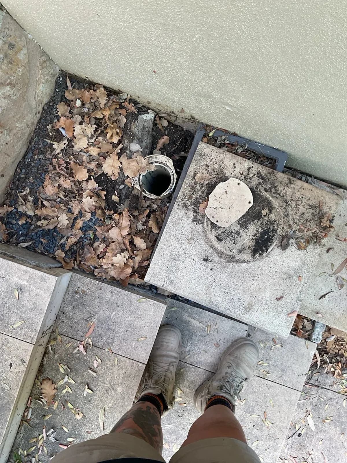 Drain inspection openings after the roots were cleared