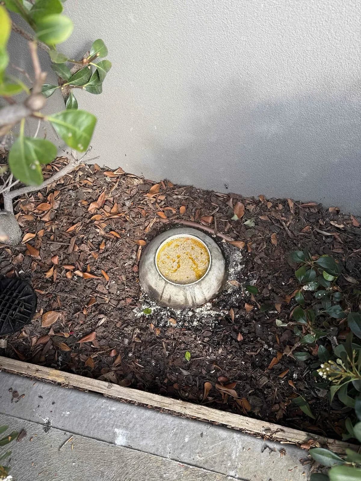 Outside gully that was blocked with grease in Clayton South