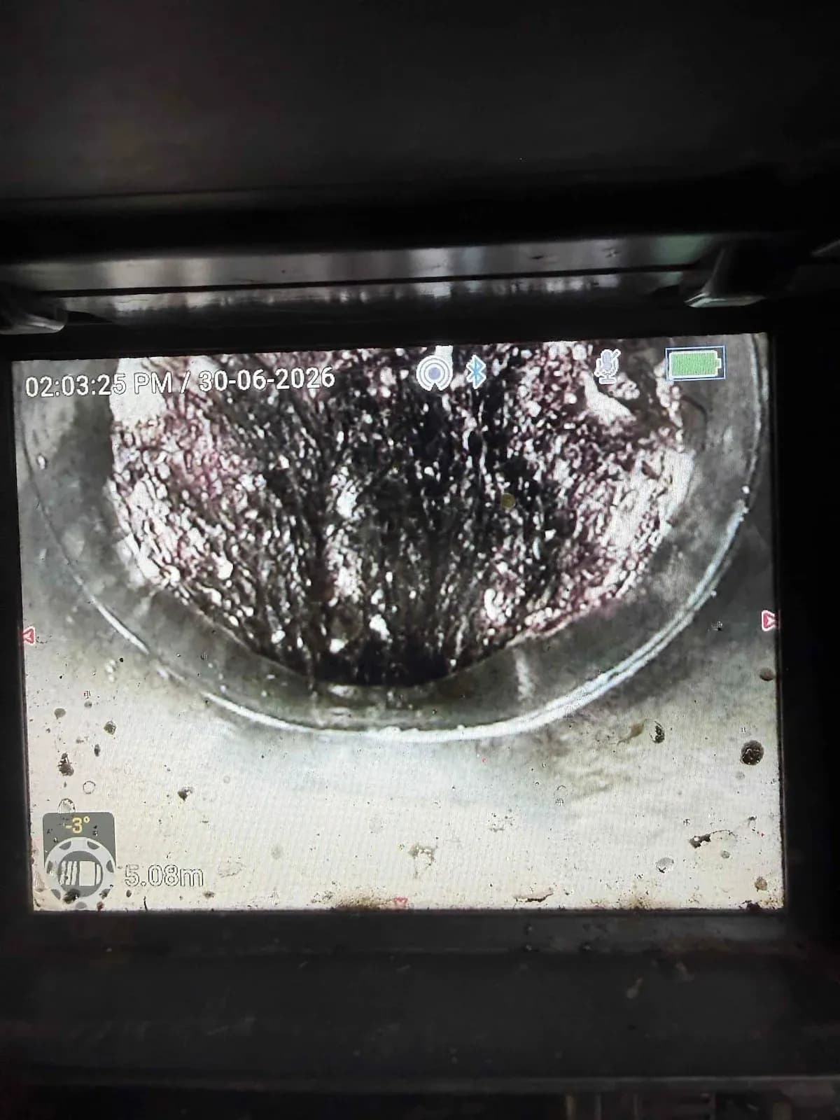 Drain camera showing tree roots filling the sewer pipe