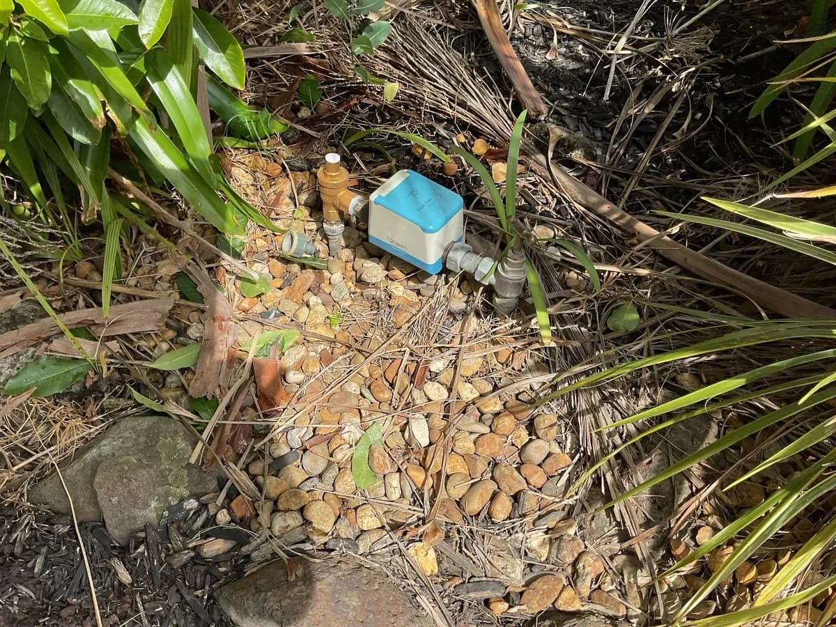 Water meter in a garden bed where the underground leak was traced