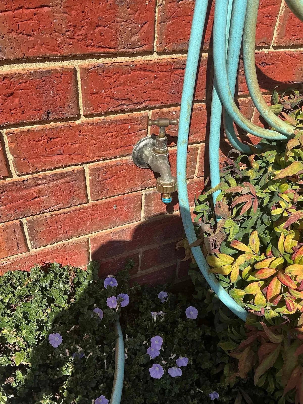Old garden tap with hose on a brick wall