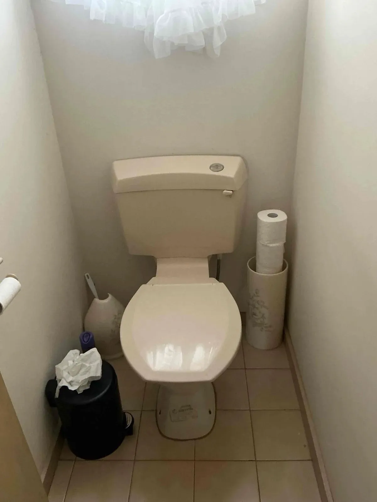 Old toilet cistern before replacement