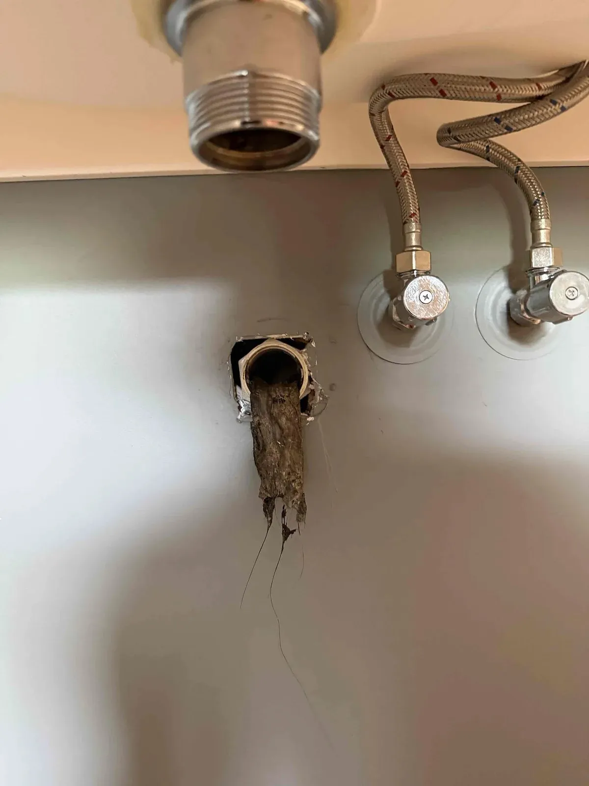 Basin waste pipe clogged with debris