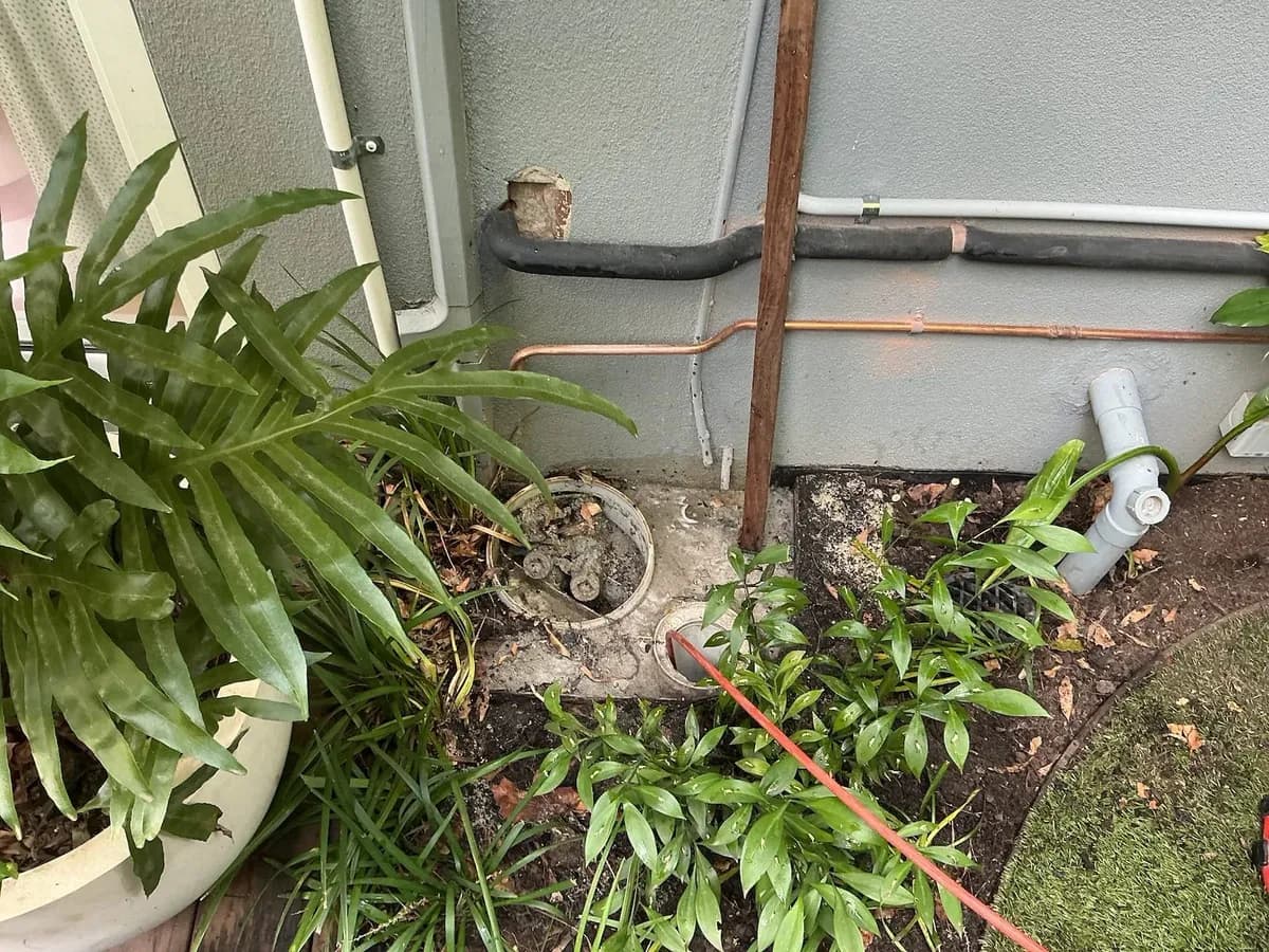 Gully trap where the kitchen drain was cleared