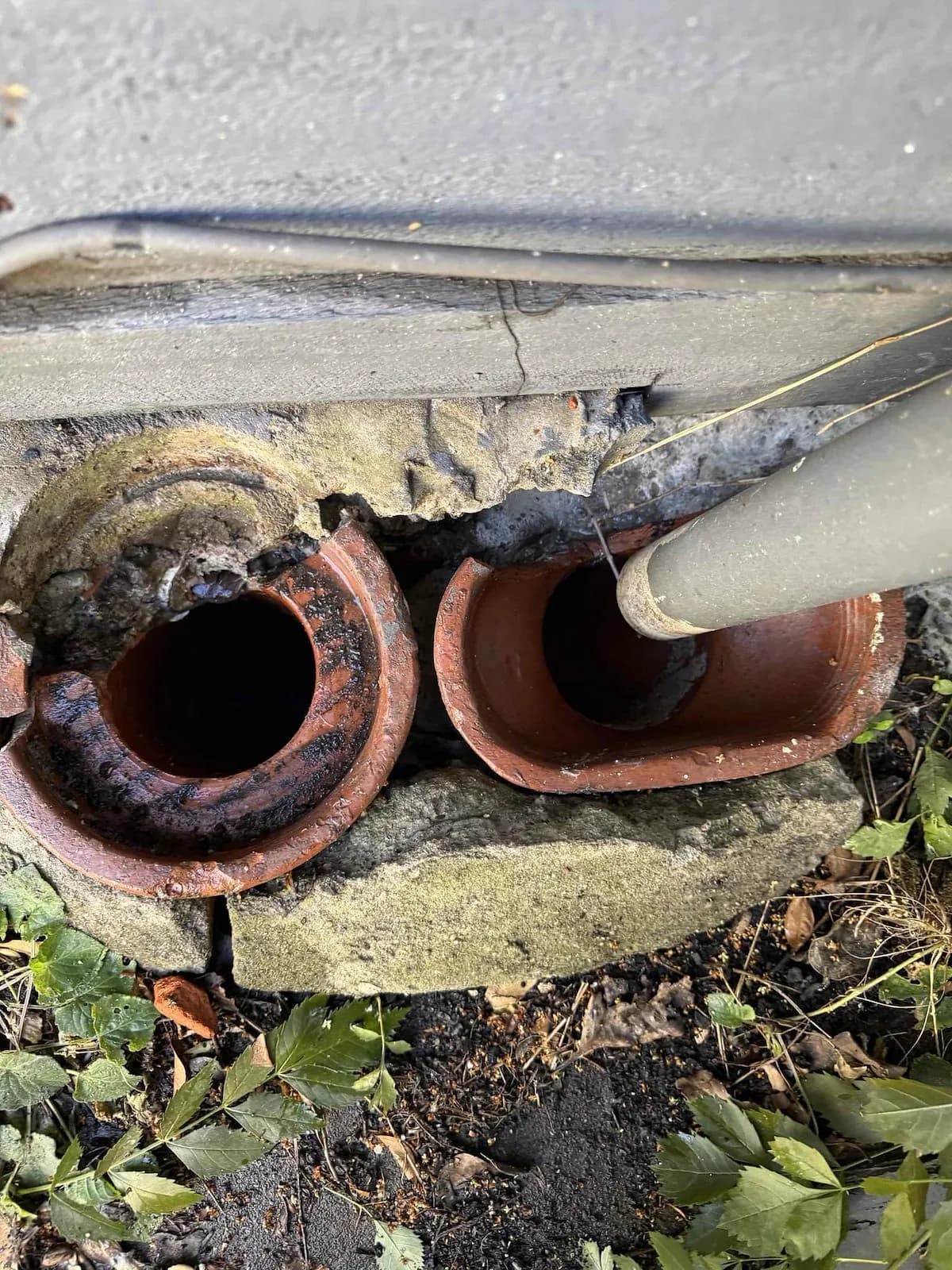 Old clay gully trap where the kitchen drain was blocked