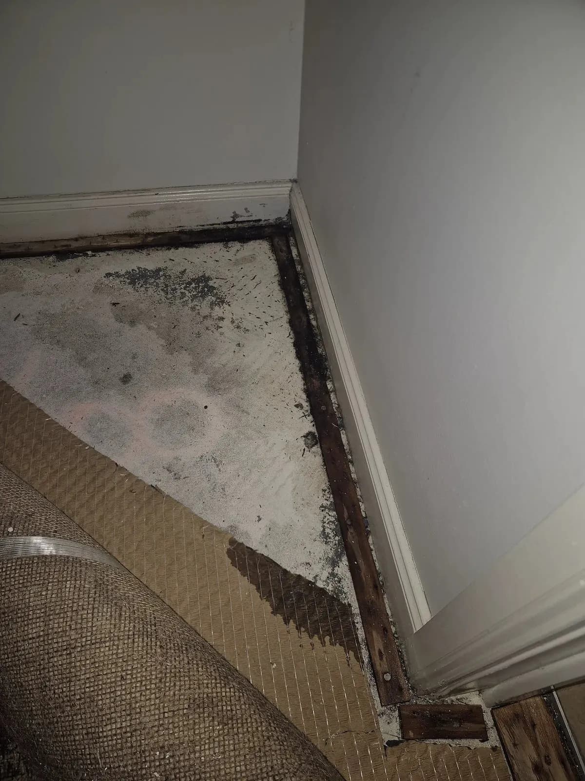 Carpet pulled back showing water damage beside the ensuite wall