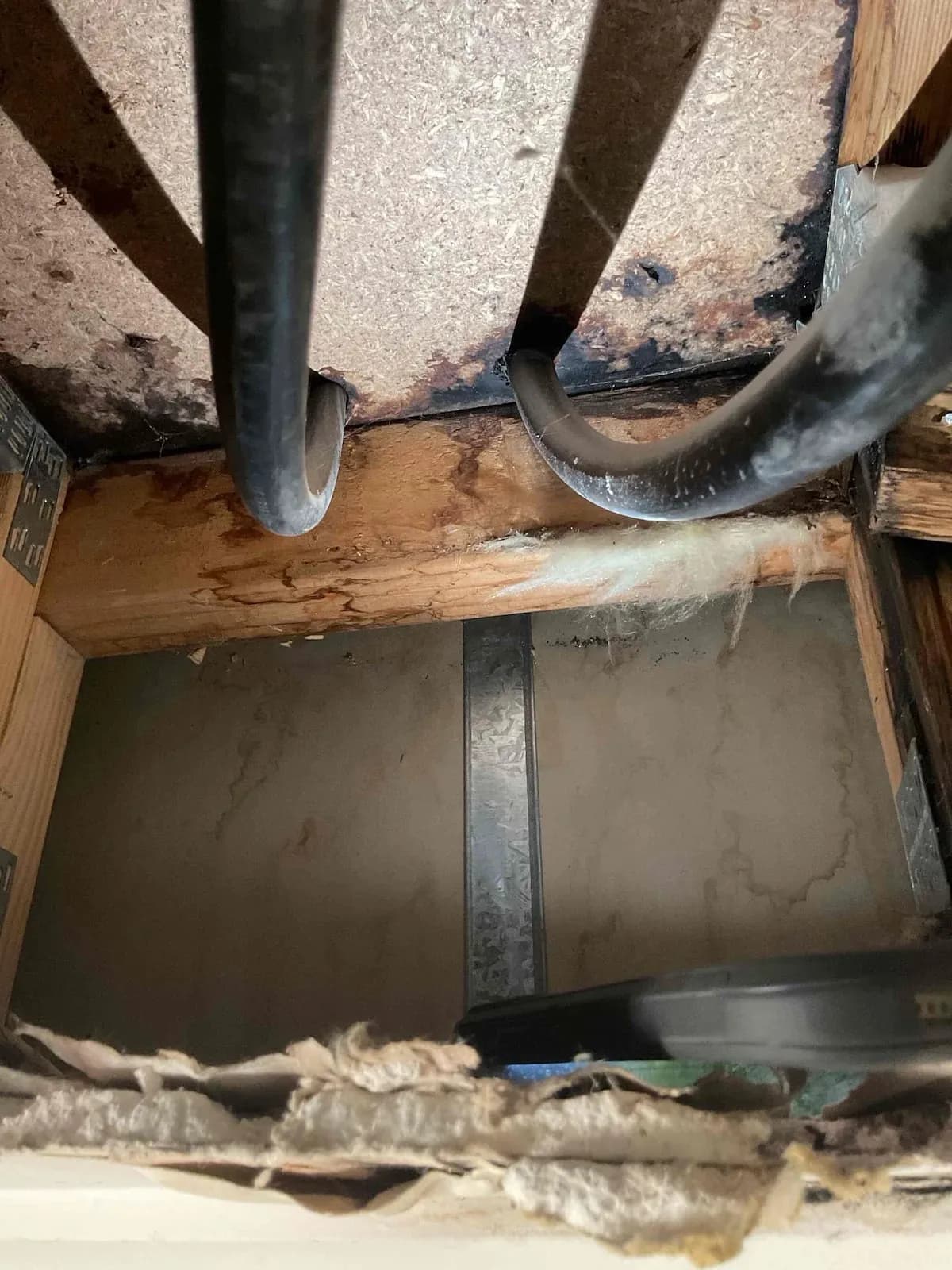 Ceiling cavity showing the pipework and water damage