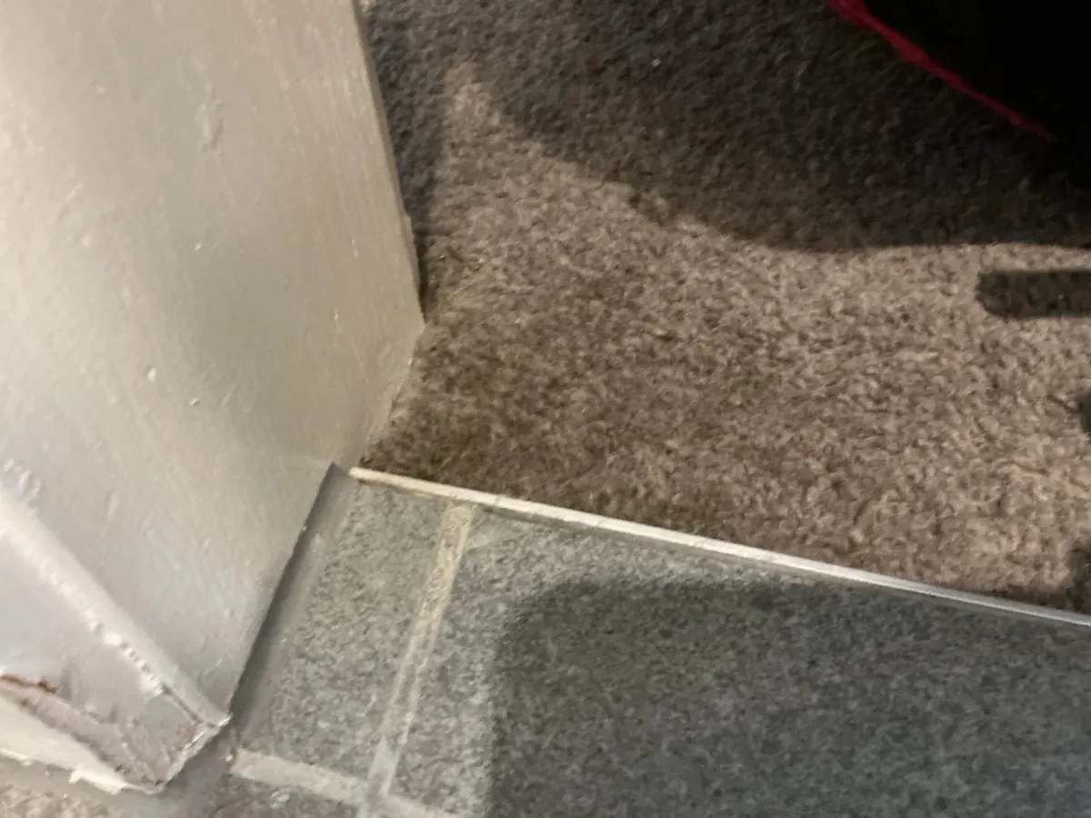 Water damage at the edge of the carpet