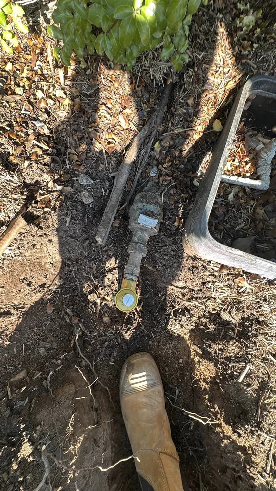Water line exposed at the meter for the repair