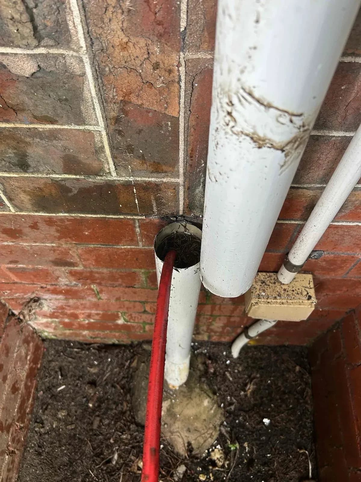 Jetter hose cleaning the drain line