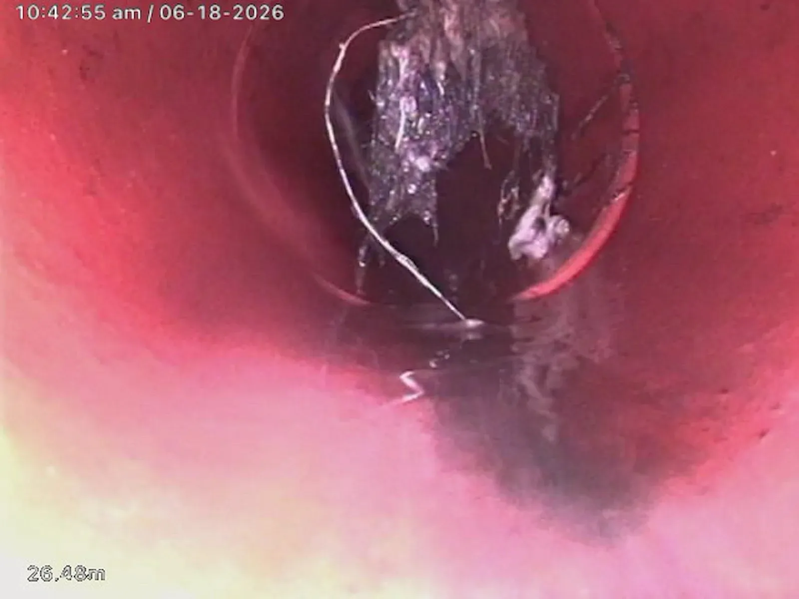 Drain camera view of tree roots inside the sewer pipe