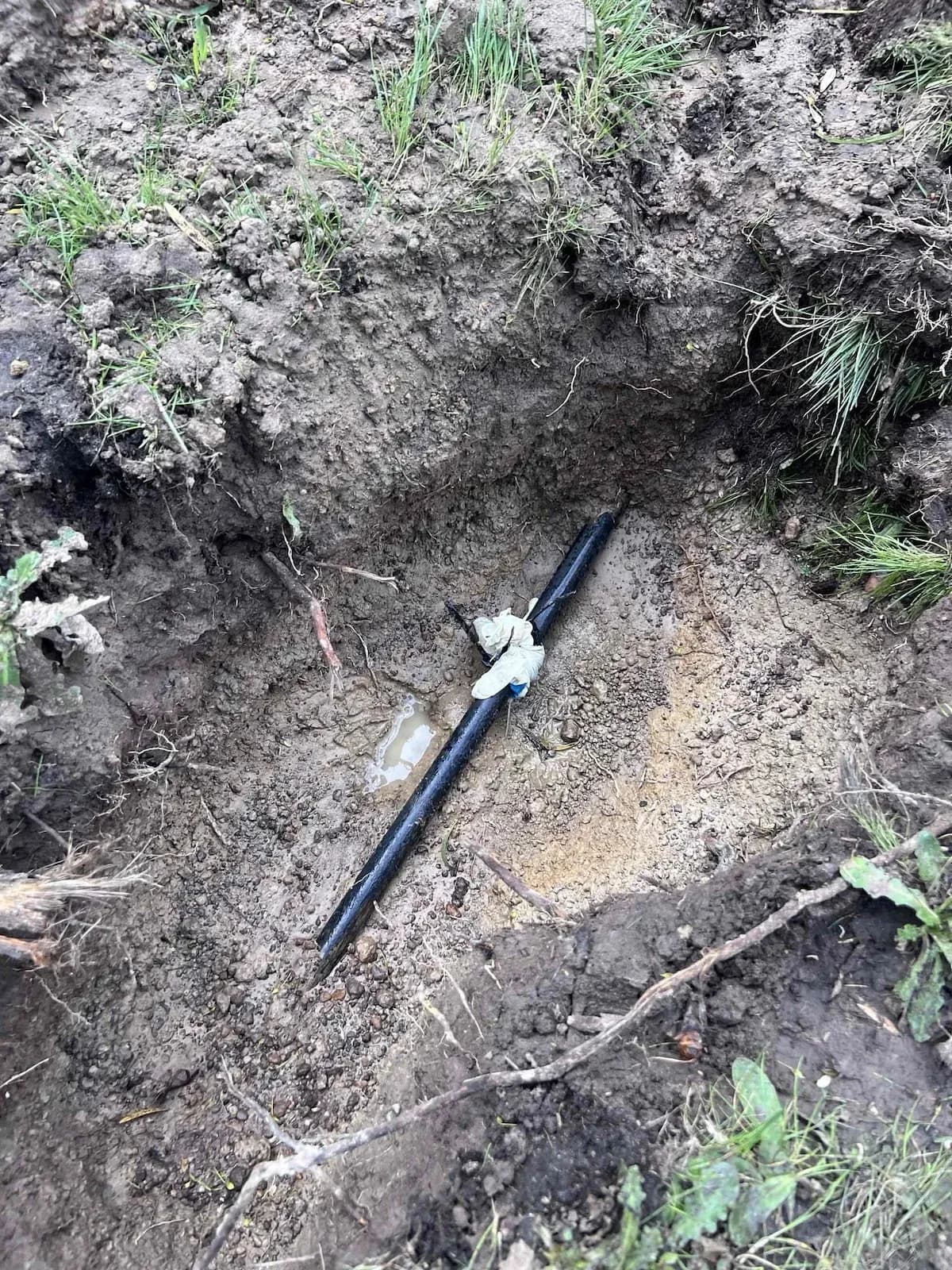 Split poly water pipe exposed in the front yard