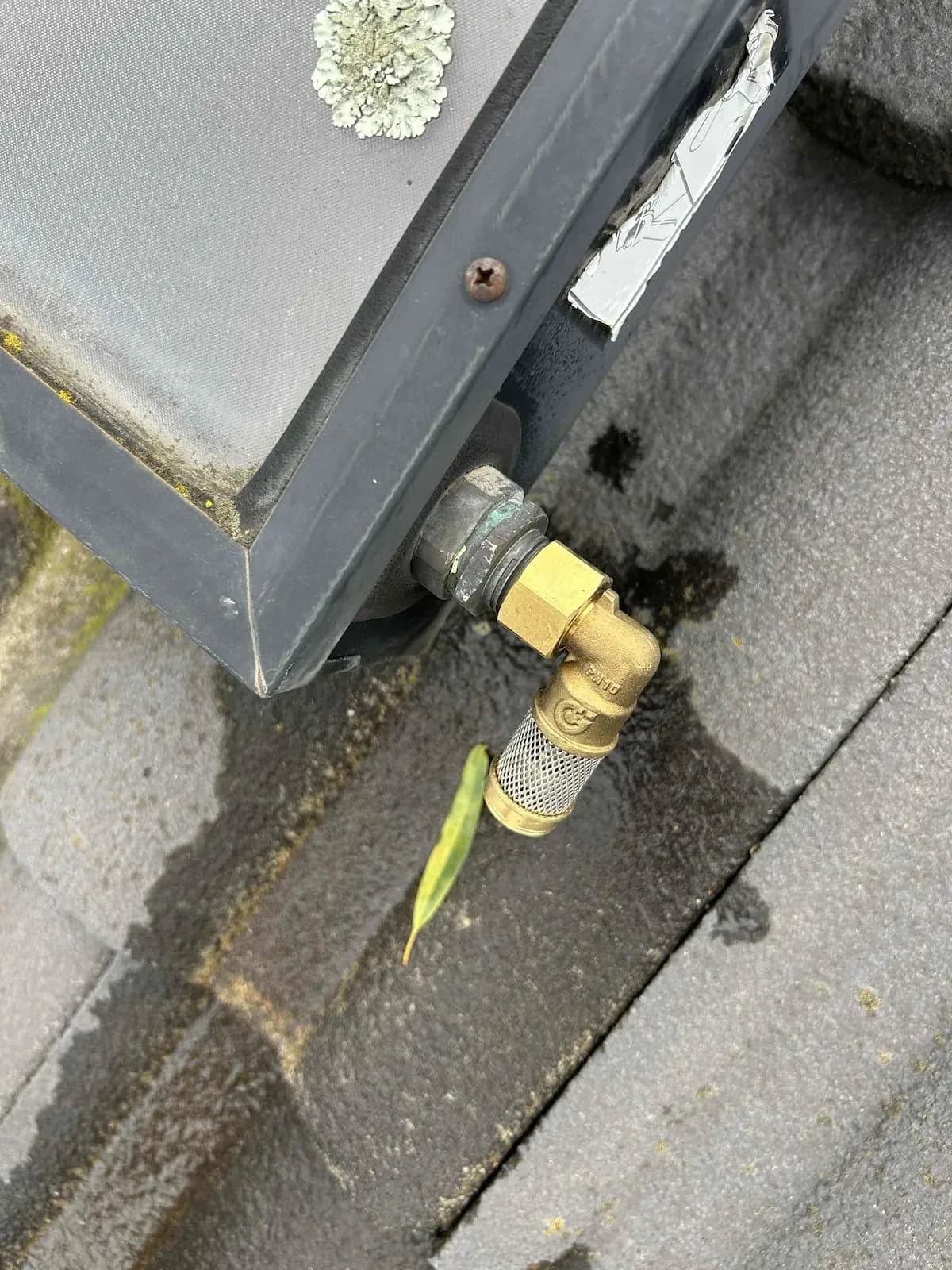 New frost valve fitted on the solar hot water panel