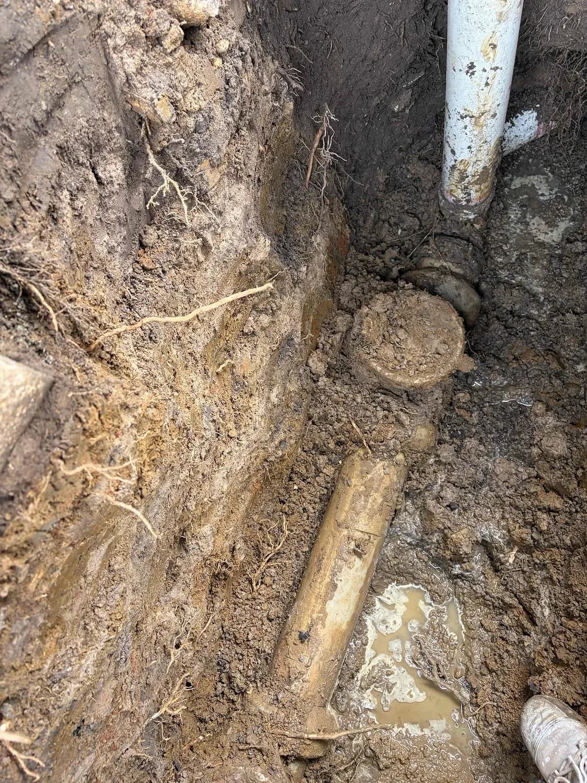 Broken boundary shaft dug up in Mornington