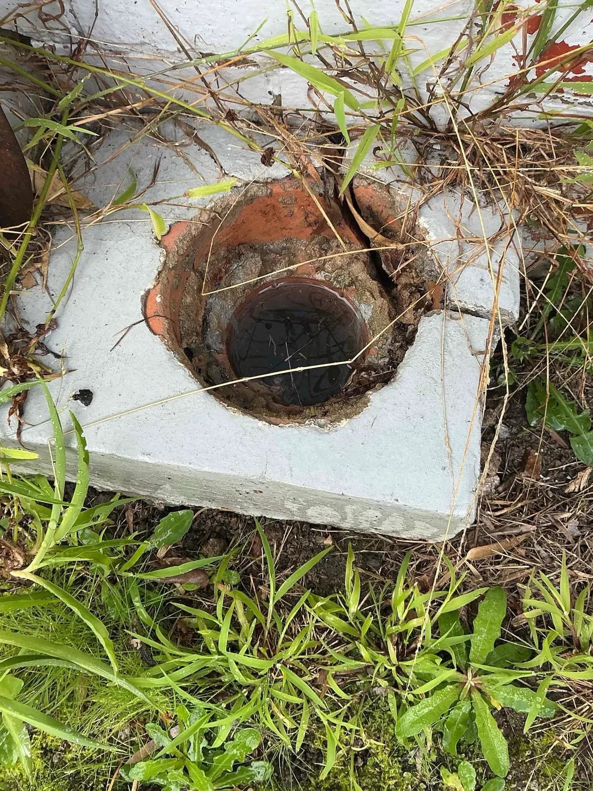 Outdoor drain opening with its grate removed