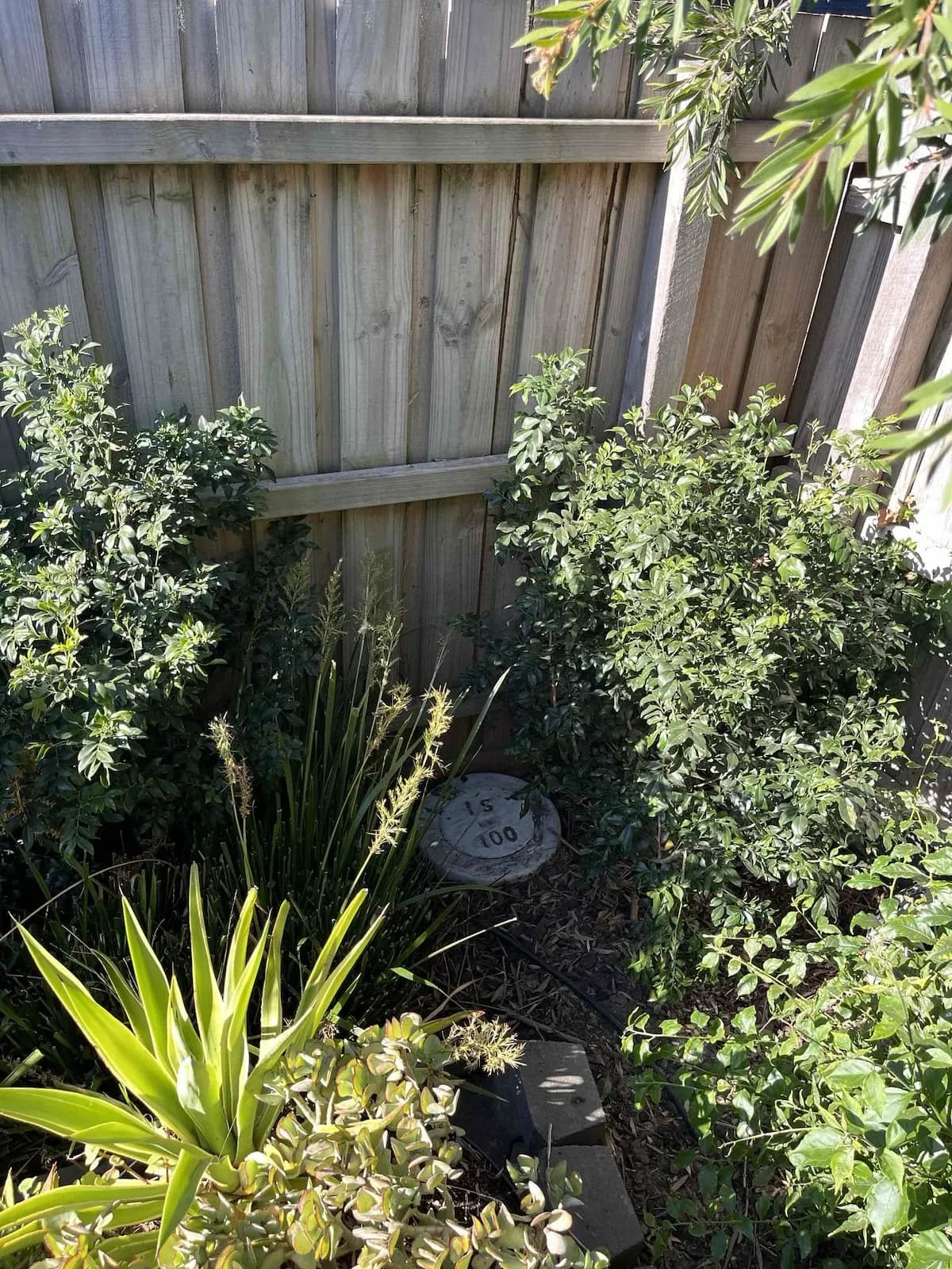Garden bed with the new inspection point