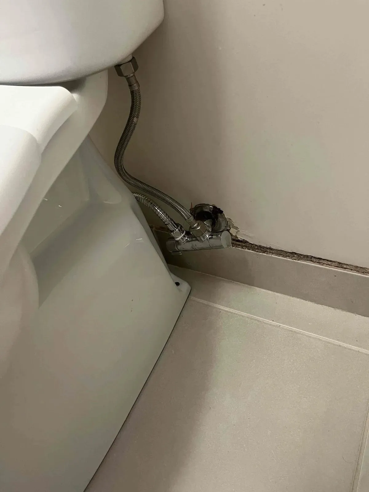 New isolation valve on the water connection beside the toilet