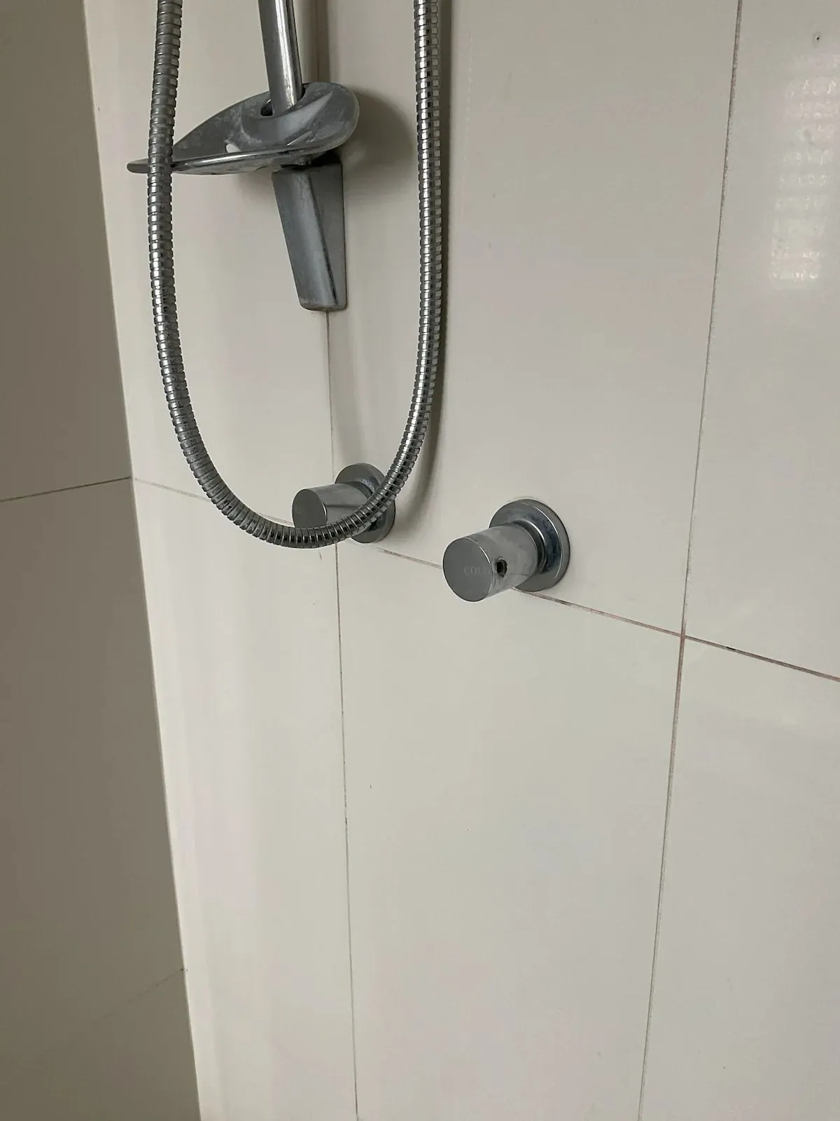 Shower wall with fixtures in a tiled bathroom