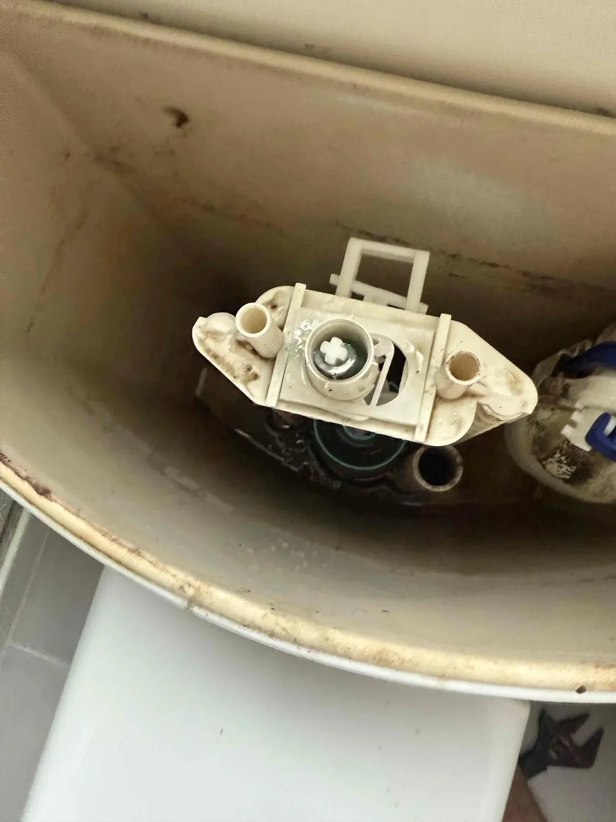 New flush valve fitted inside the cistern