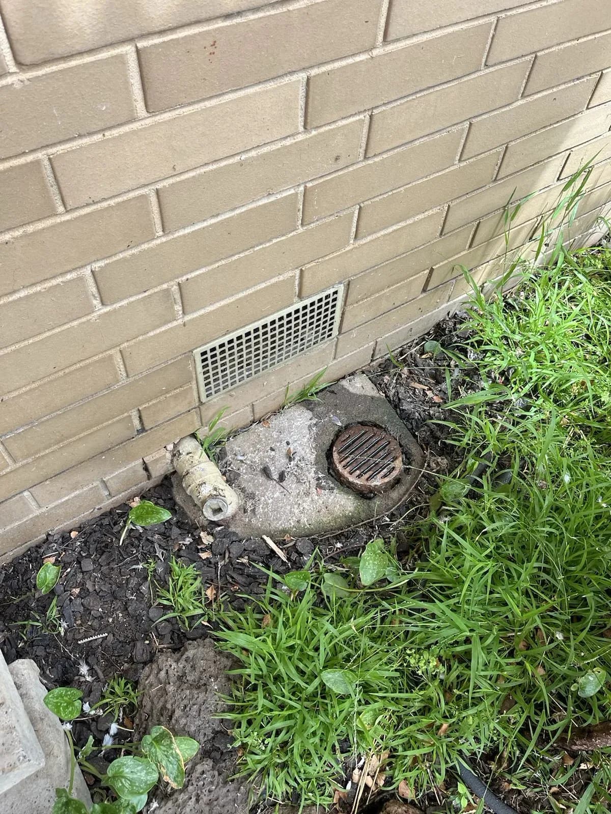 Blocked laundry gully beside a Mulgrave home