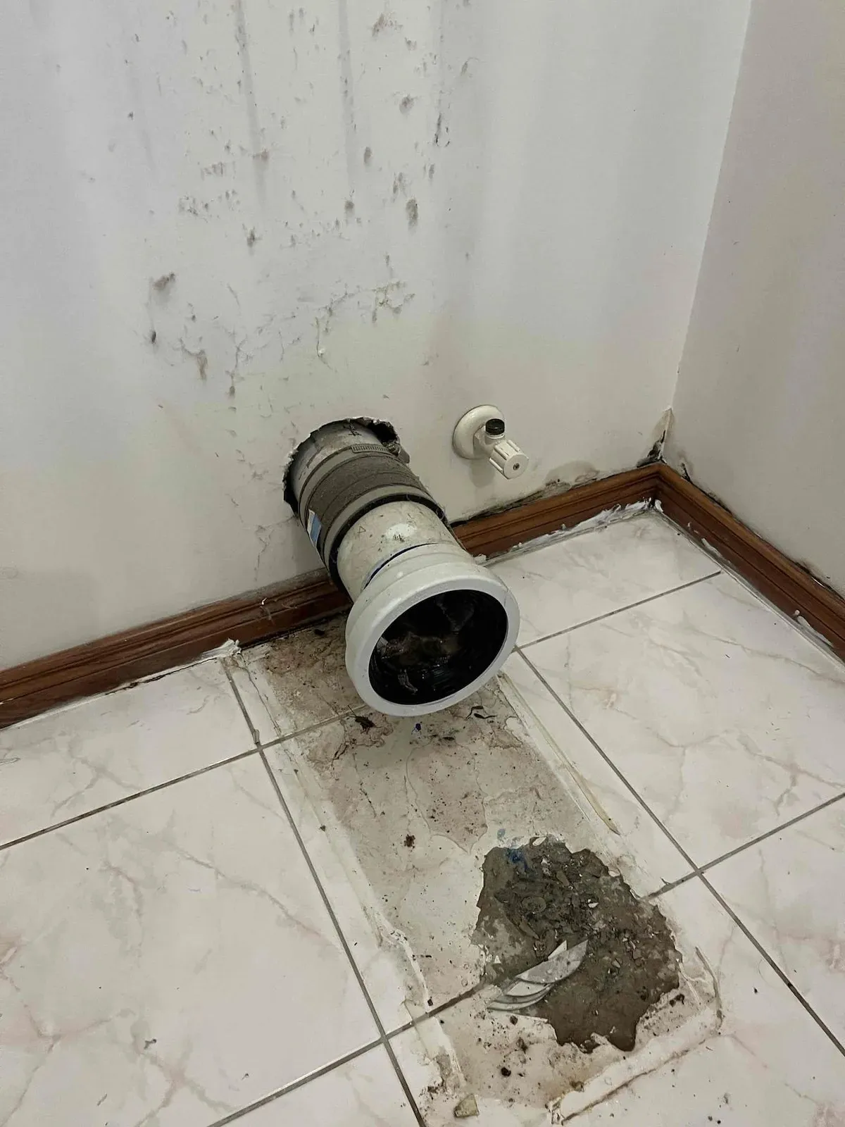 Toilet removed showing the pan connector