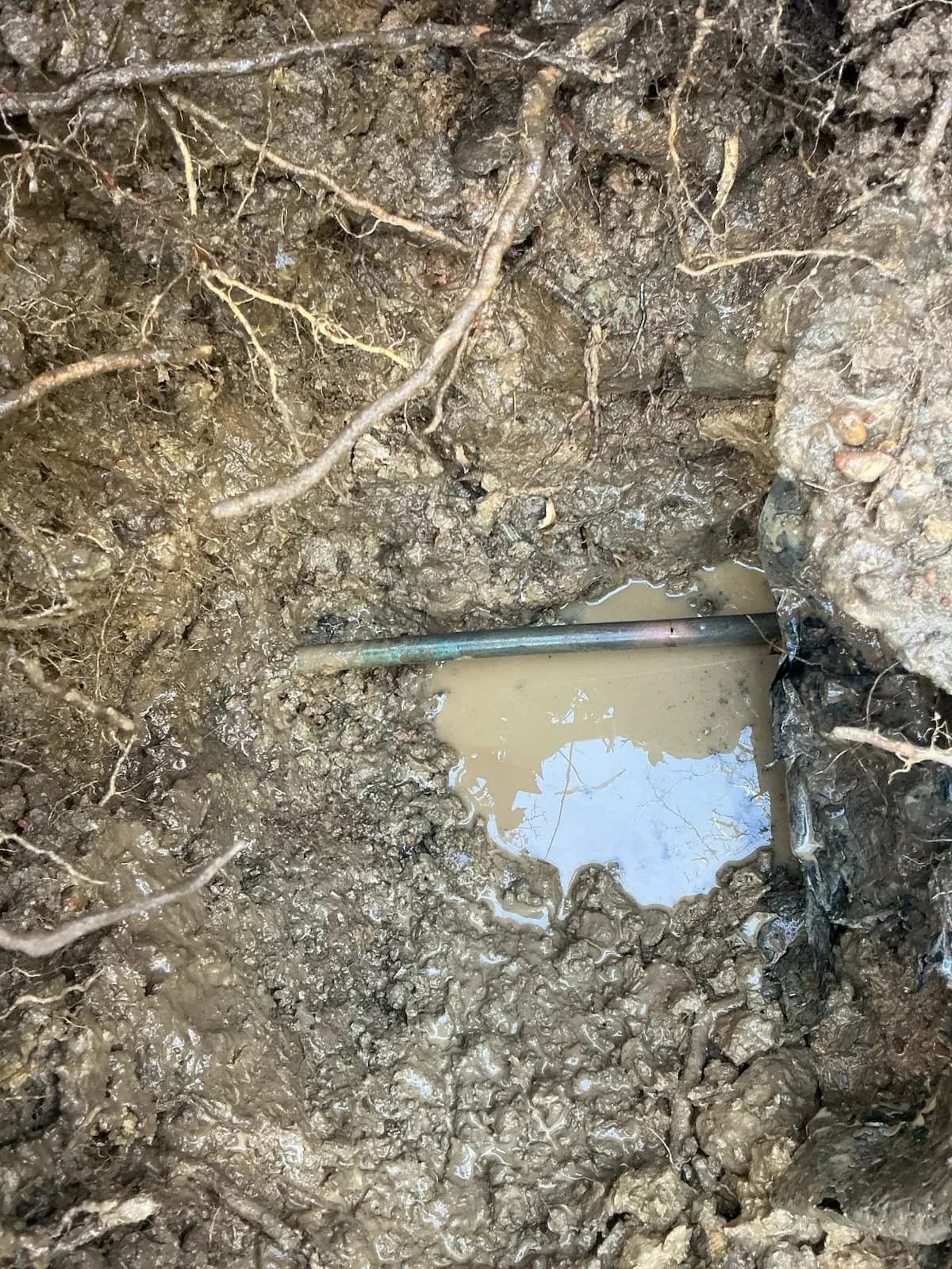 Burst water pipe found in the dig