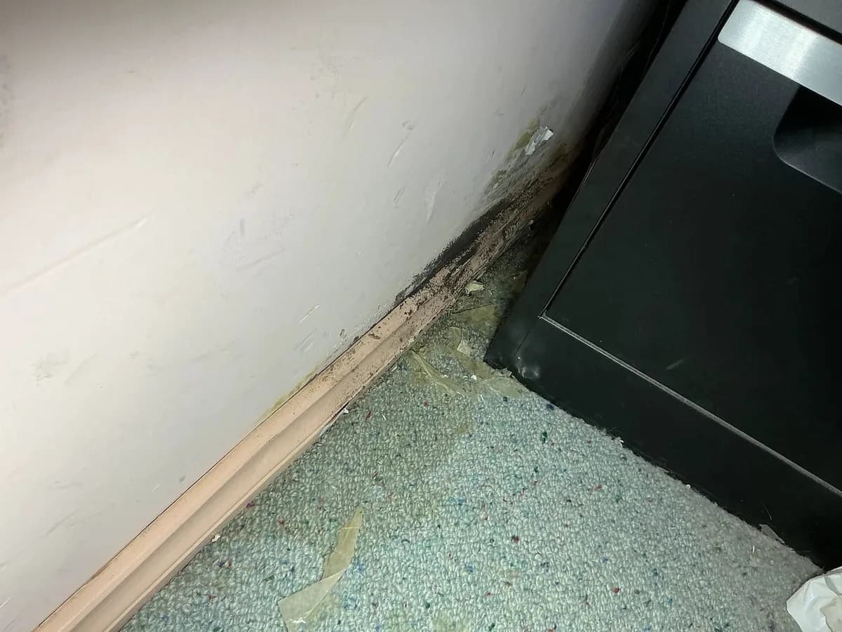 Water damage at the skirting next to the shower