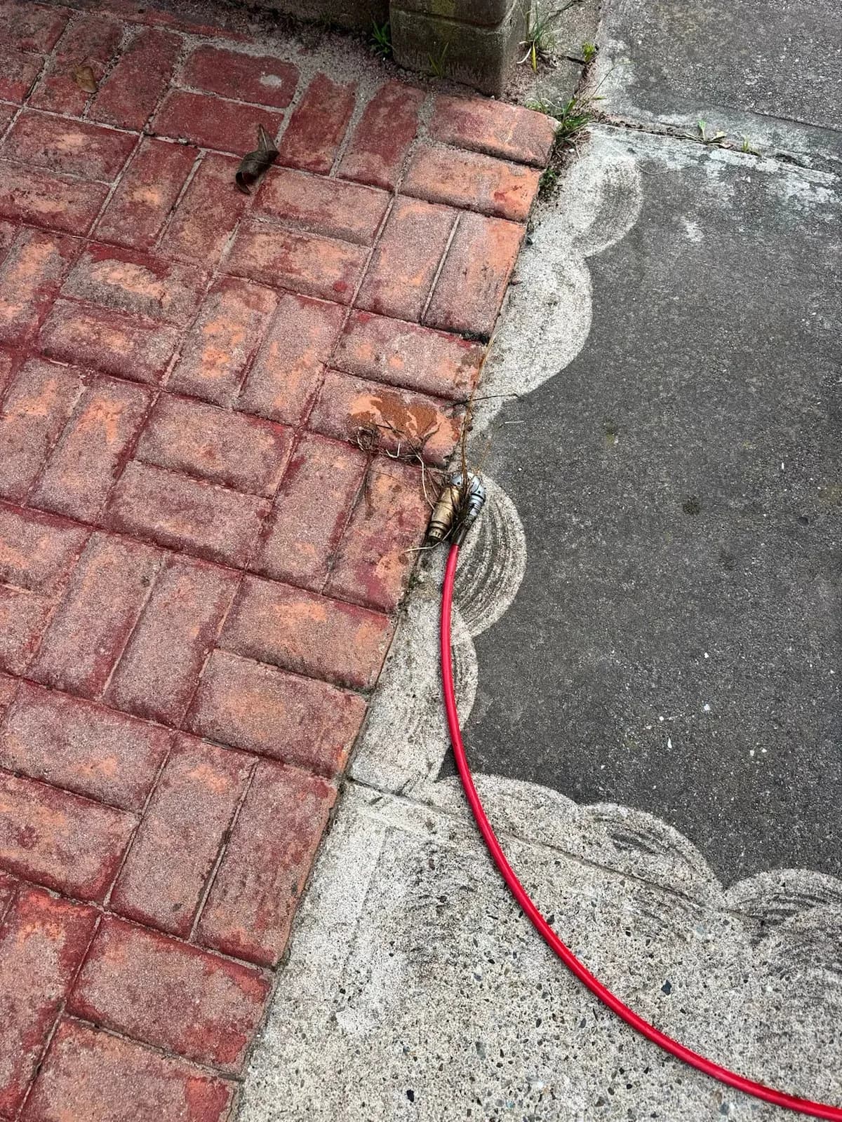 Sewer vent used to access a full-house blockage in Pearce
