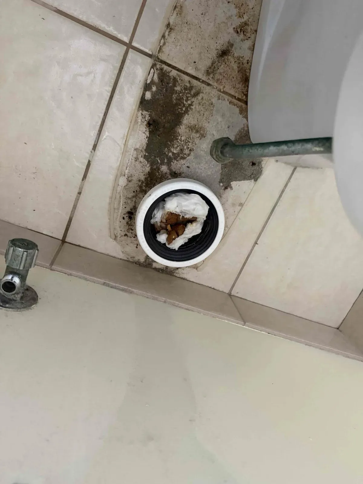 Toilet waste opening after the pan was lifted