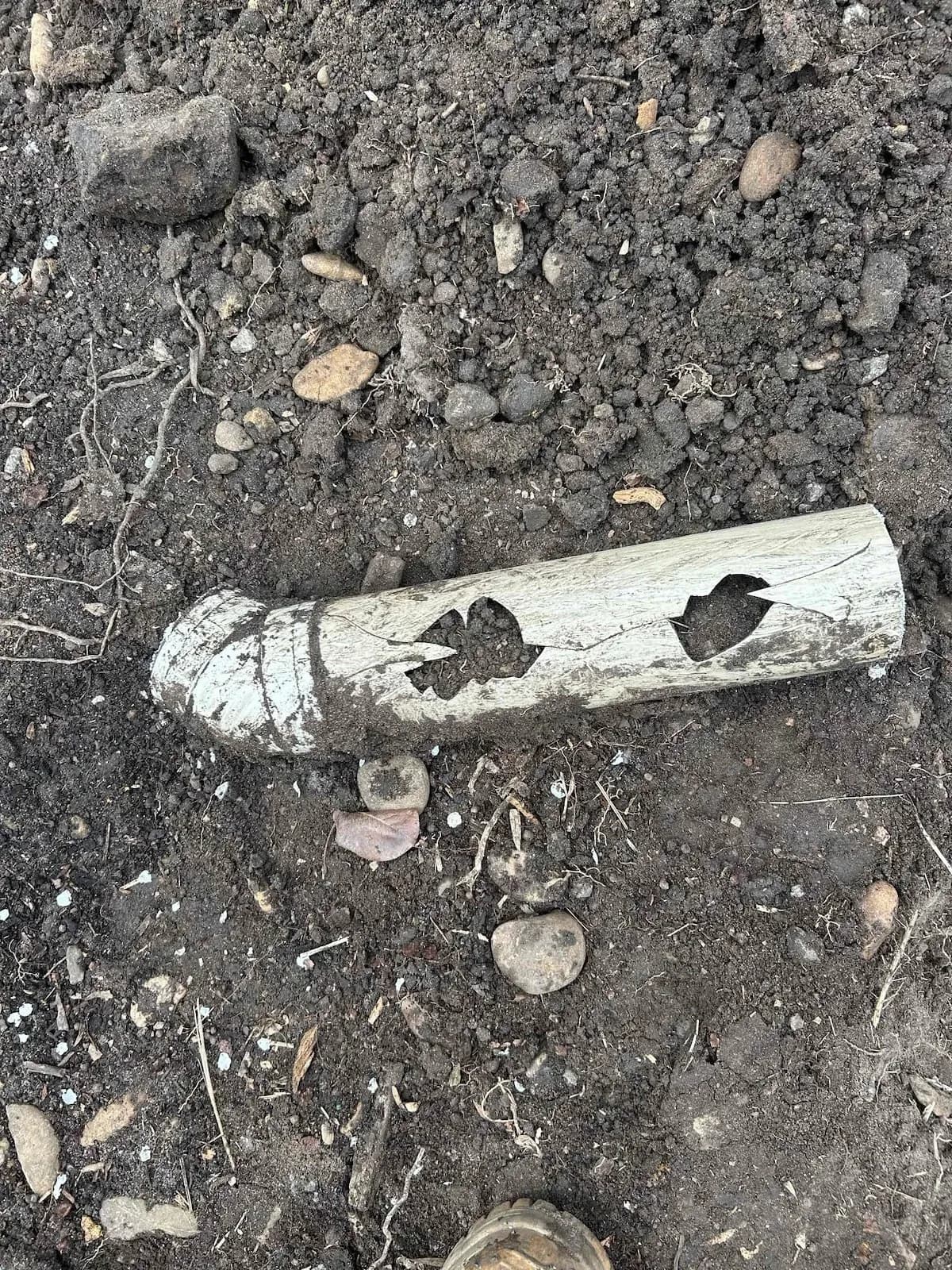 Damaged old drain pipe dug out