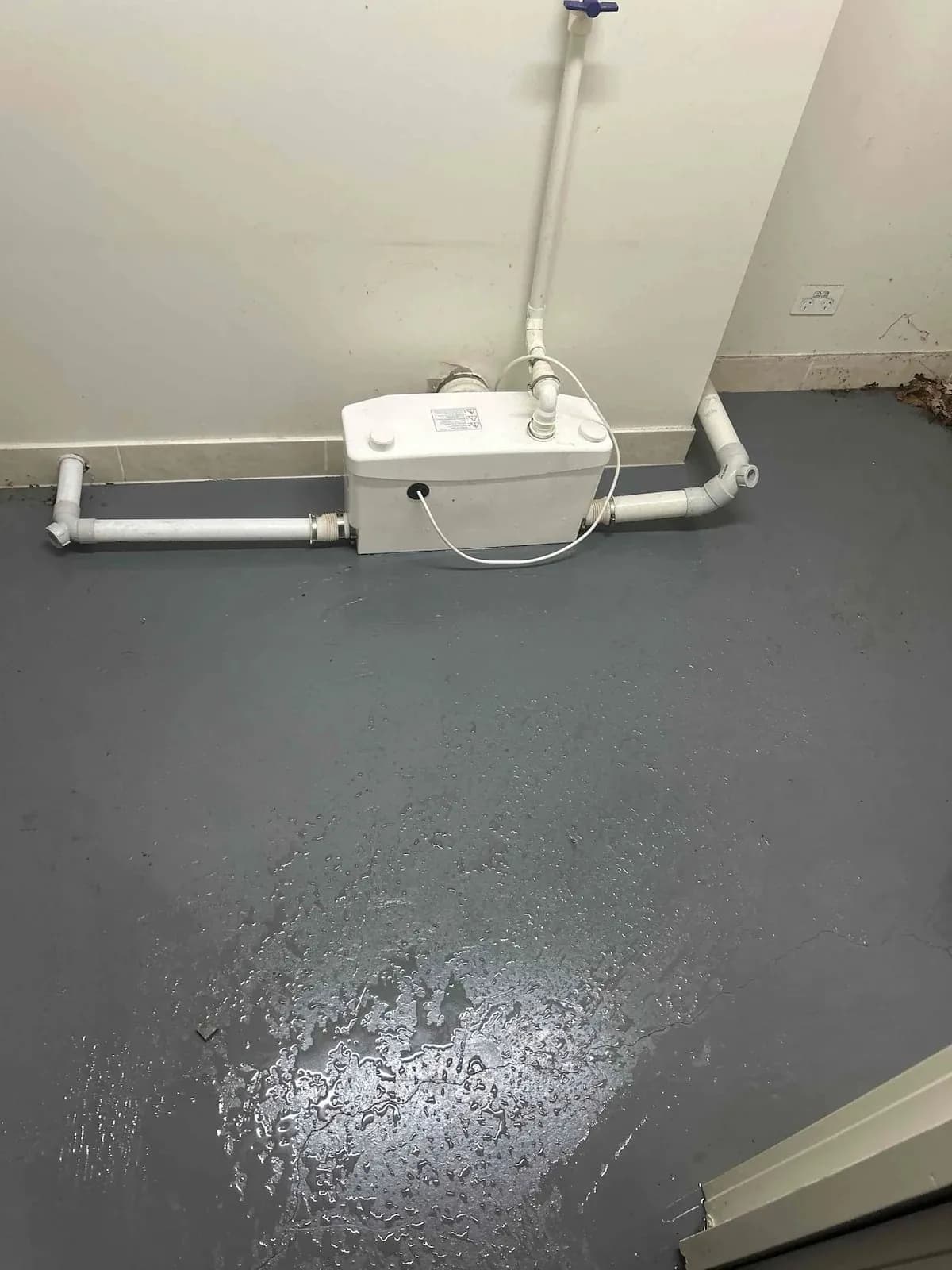 Macerator pump cleared, reassembled and reconnected
