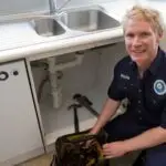 plumber fixing sink plumbing problem