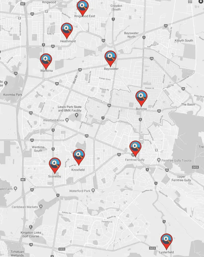 boronia-with-pins-resized