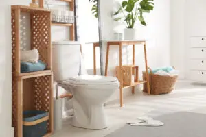 Modern bathroom with a white toilet, wooden shelving, a plant on a desk, and a basket of towels on the floor. Sunlight streams in through the window, highlighting the tidy space—perfect for easy maintenance or quick plumbing checks.
